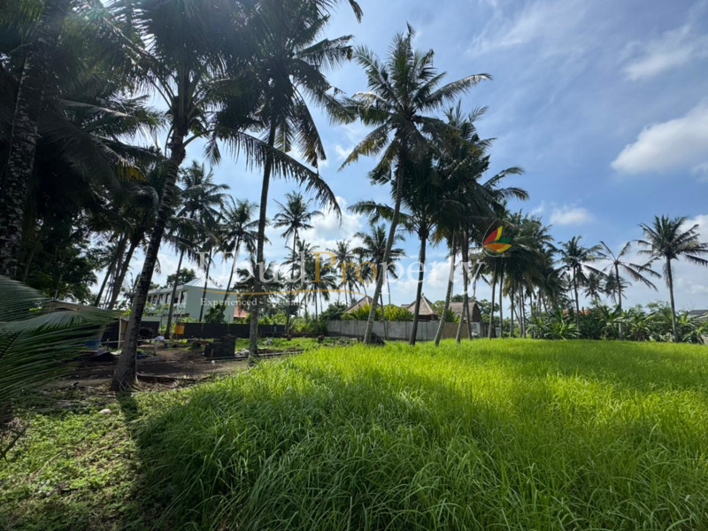 Ubud Property Land For Sale in Ubud Bali